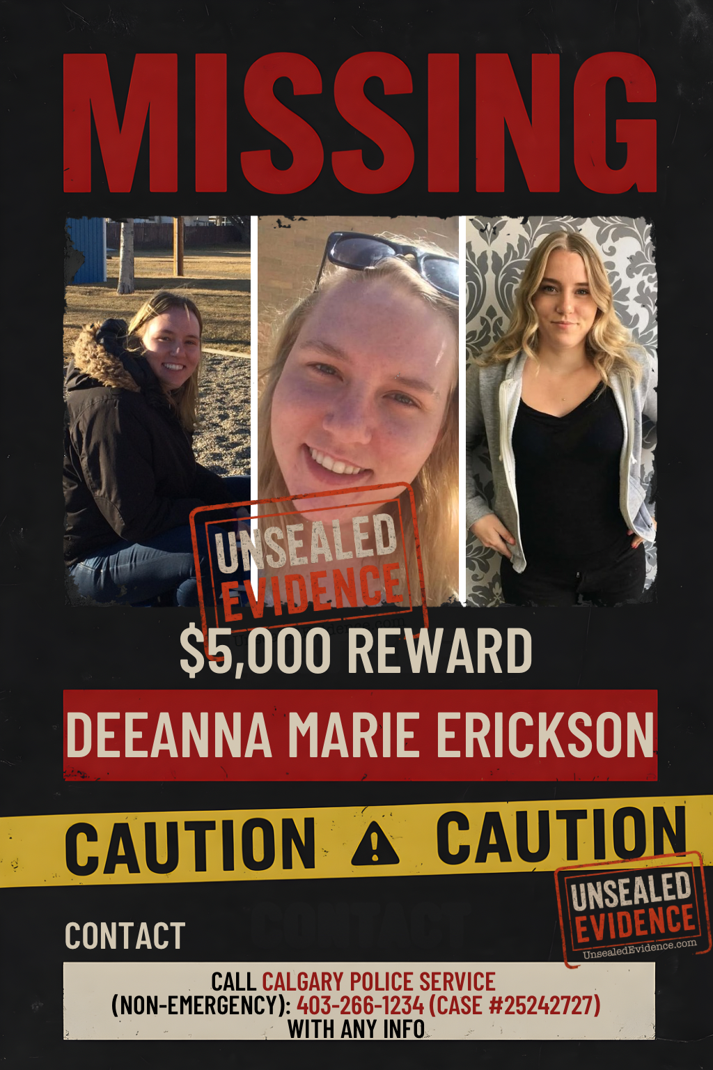 Cover image for She Stepped Off the Bus and Vanished: Deeanna Marie Erickson