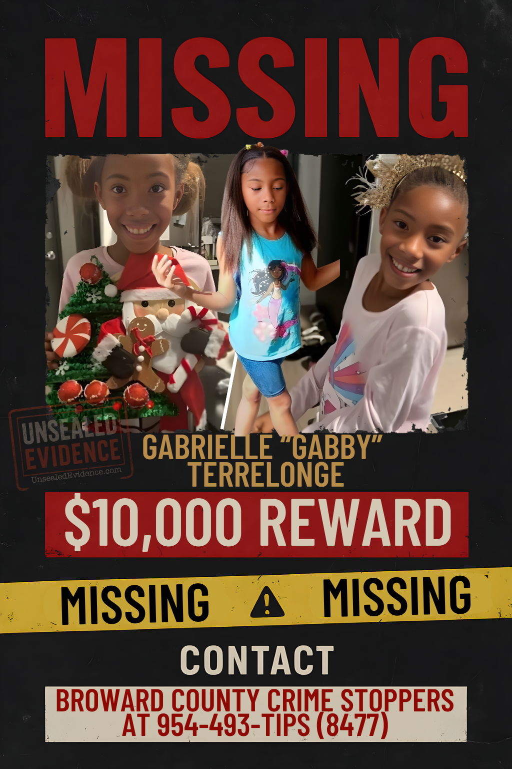 Cover image for Bus Ride into Darkness: The Disappearance of Gabby Terrelonge