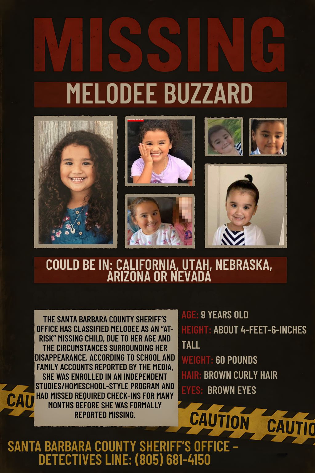 Cover image for The Disappearance of 9-Year-Old Melodee Buzzard: A Cross-Country Road Trip, Disguises, and Unanswered Questions