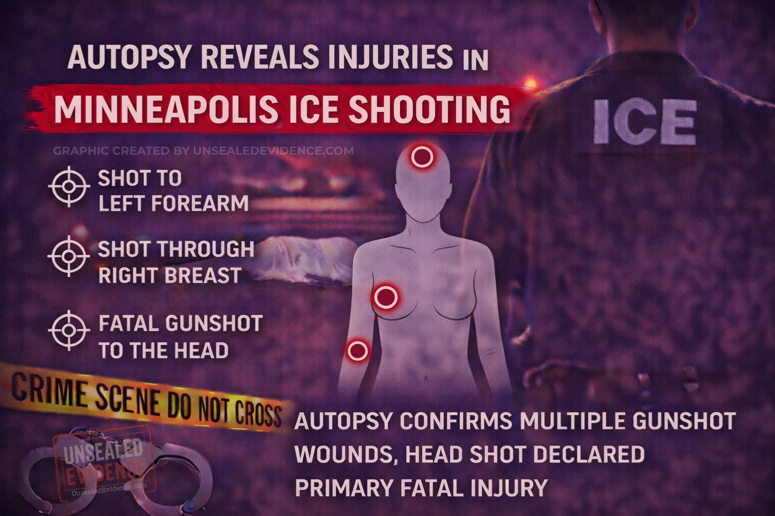 Cover image for THE CROSSROADS OF PORTLAND AVENUE: A CASE STUDY IN JURISDICTIONAL CONFLICT AND THE DEATH OF RENEE NICOLE GOOD