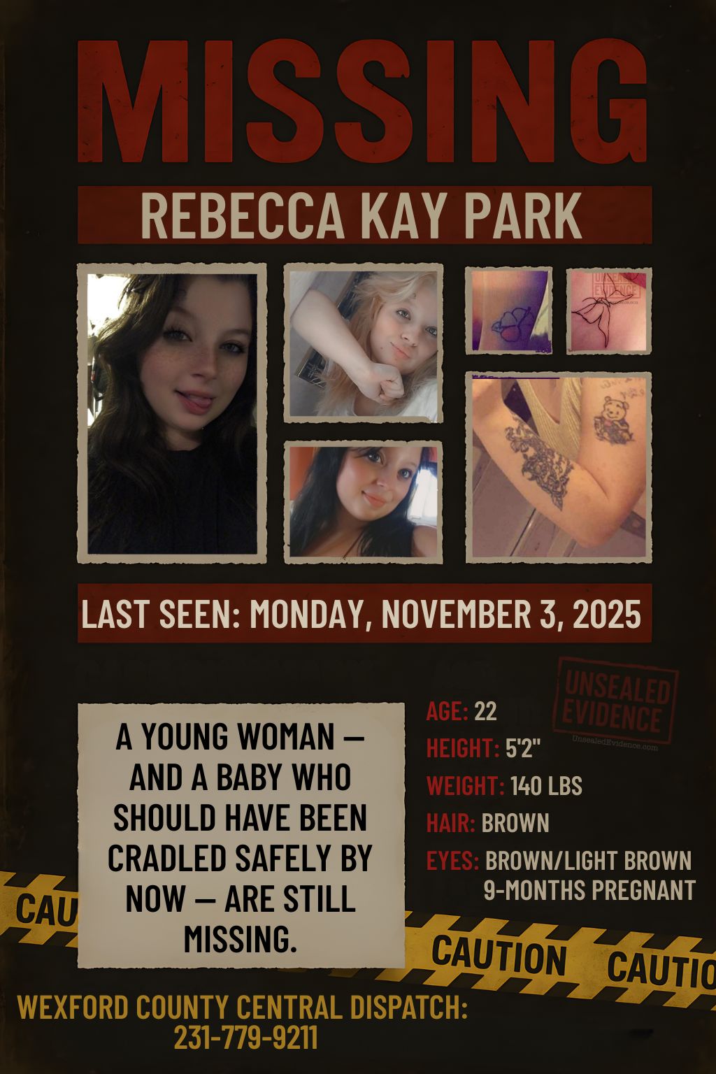 Cover image for 🕯️ THE DISAPPEARANCE OF REBECCA KAY PARK - A Full Timeline, Case Summary & What We Know So Far